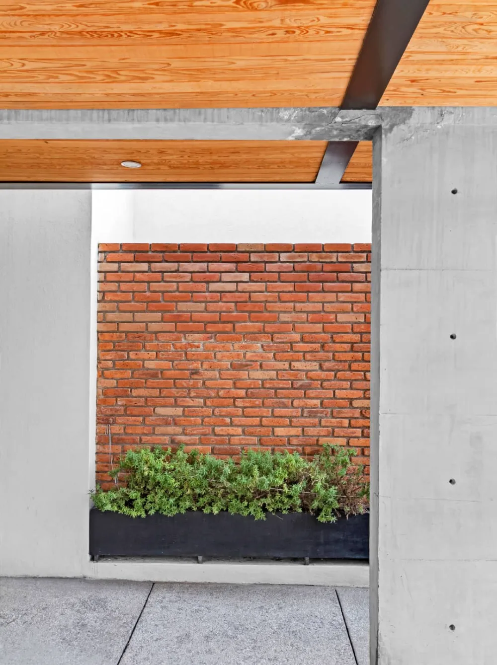Muro de tabique aparente y jardinera de Casa CAED, Corregidora, Querétaro