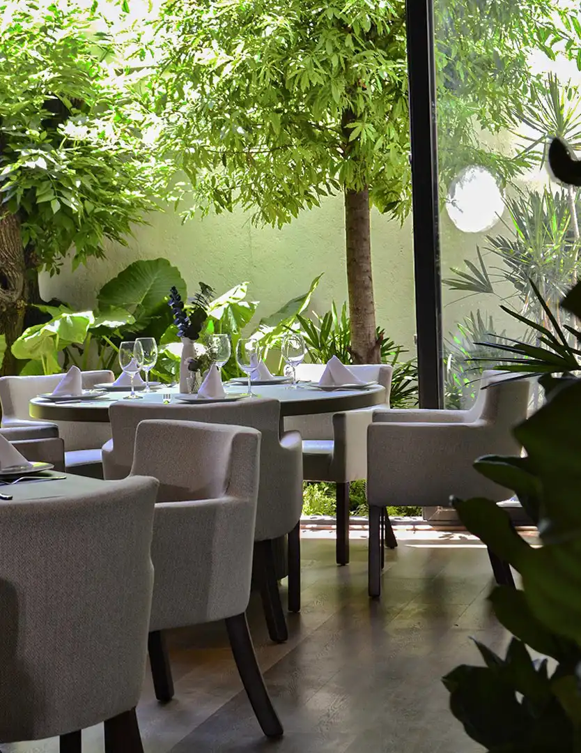 Comedor de Casa Silva con mesas redondas, sillones tapizados y árboles interiores junto a un ventanal en Querétaro