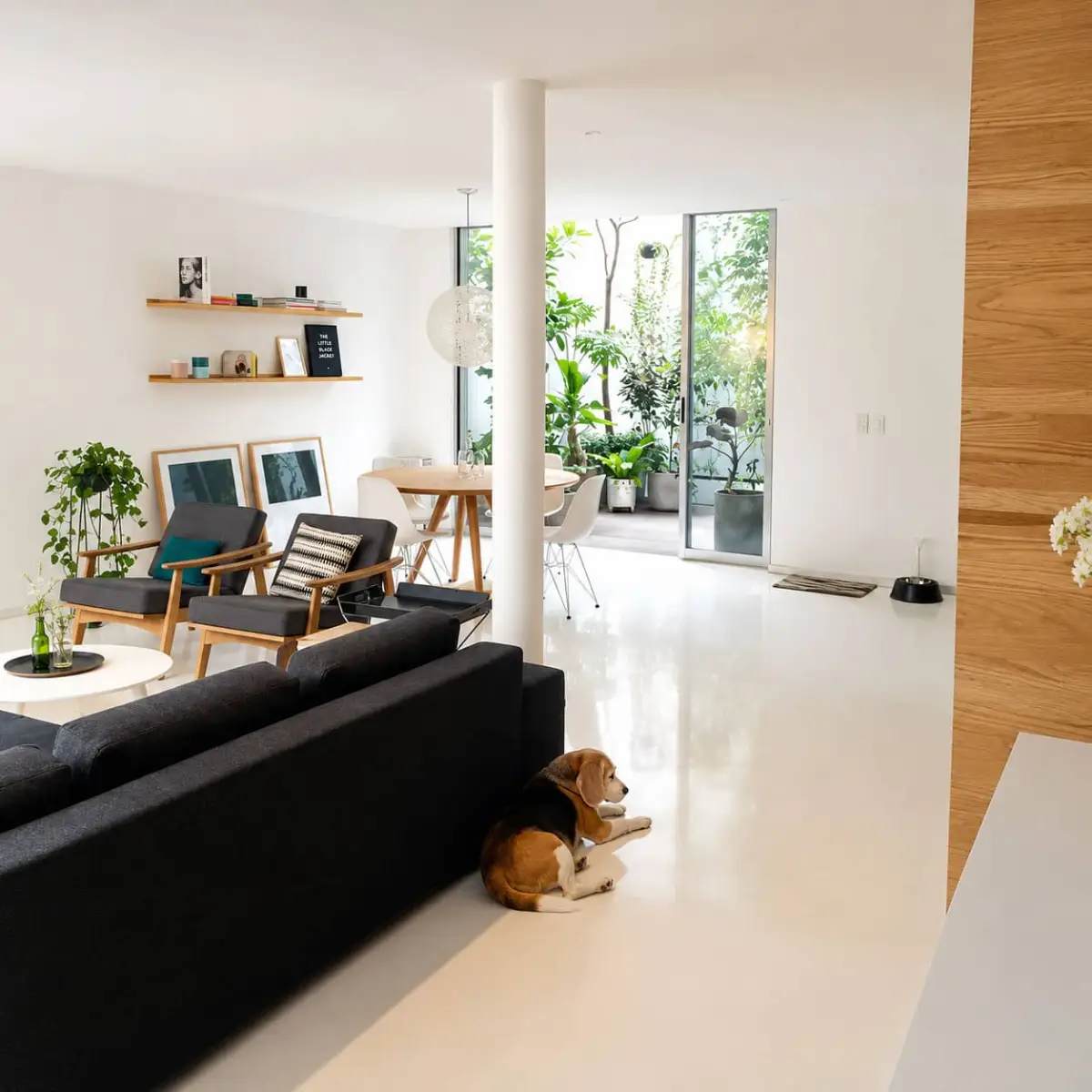 Sala y comedor abiertos con mascota en el piso, iluminados por cubo de luz interior en Departamento 2018