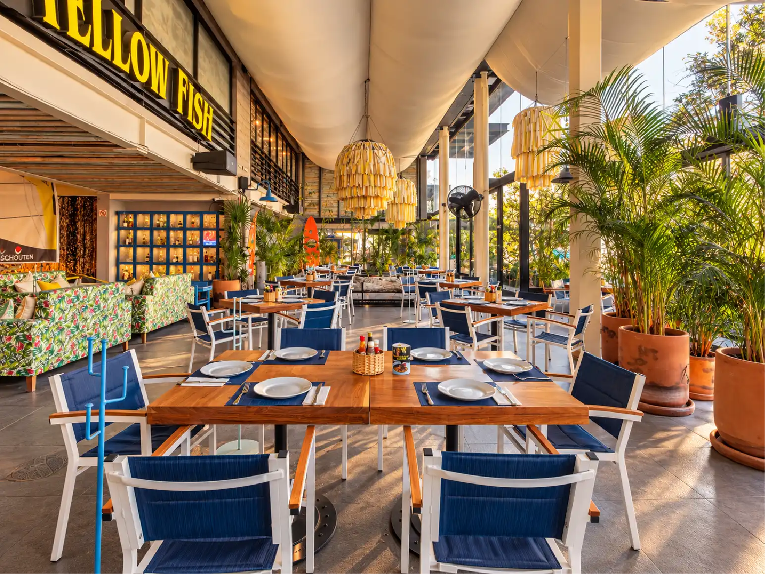 Terraza del restaurante Yellow Fish en Querétaro con mesas de madera, sillas azules, palmas y lámparas de fibra natural