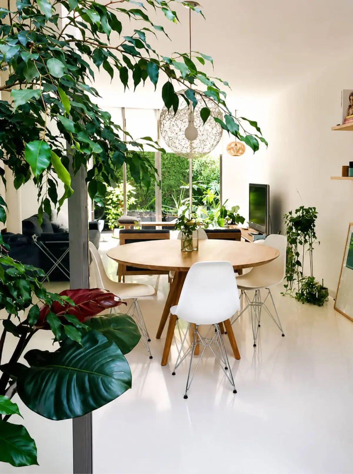 Comedor y sala del Departamento 2018 en Ciudad de México con vegetación interior y luz natural